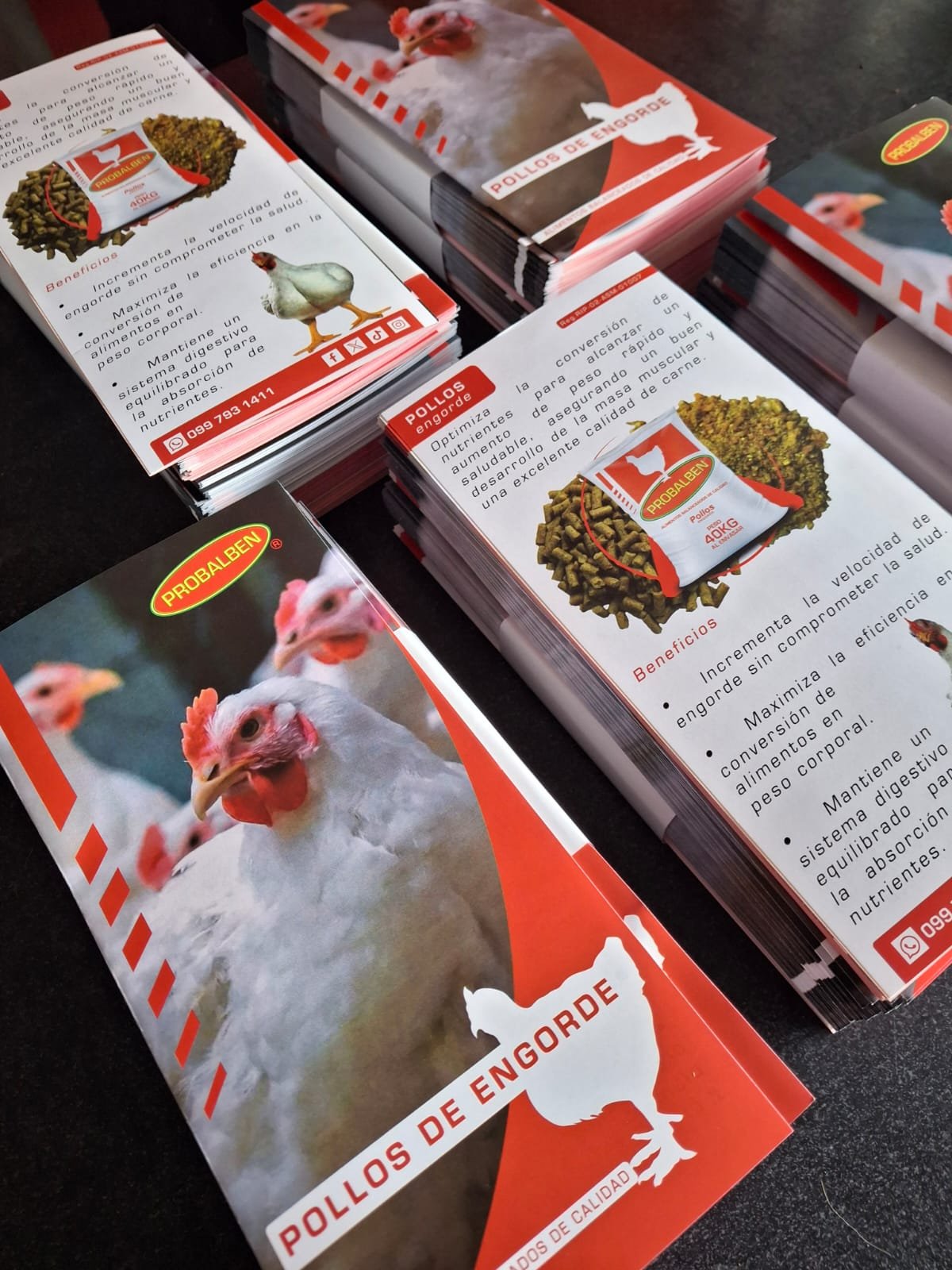 Brochure diseño corporativo