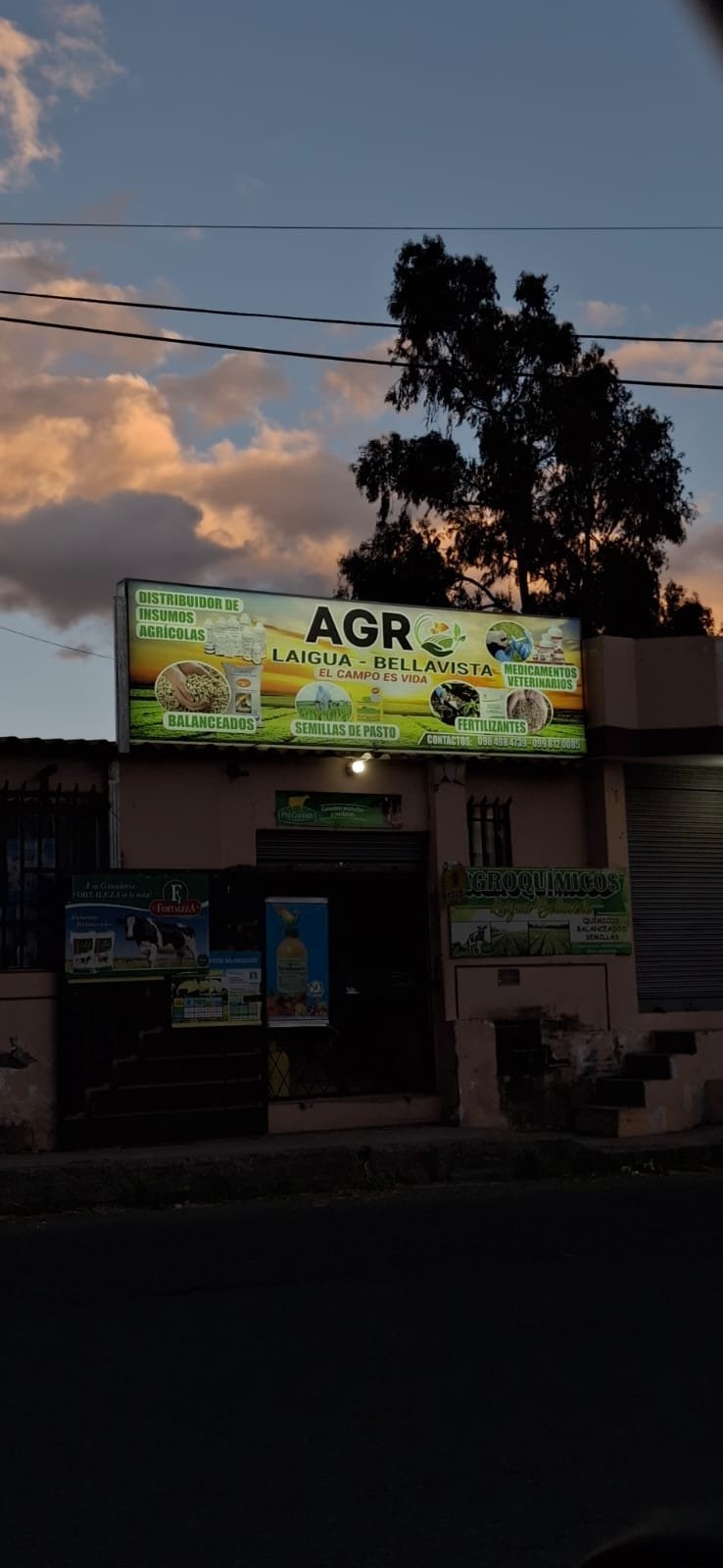 Rótulo luminoso LED